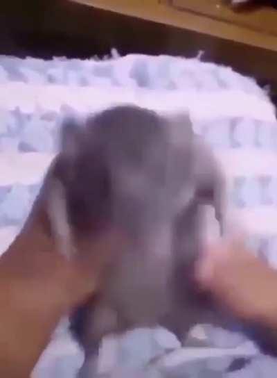 Zach seducing tomar with his dancing