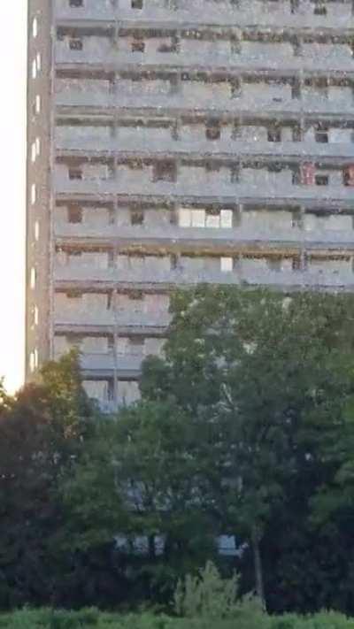 (milde interessant) Insektensturm an der Isar