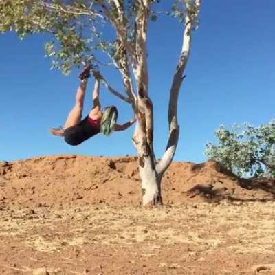 Climbing a tree incorrectly