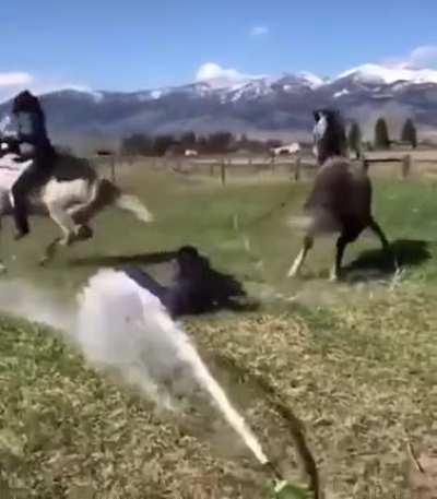 HMC while I open a bottle of champagne