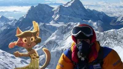 Dancing cat across the multiverse