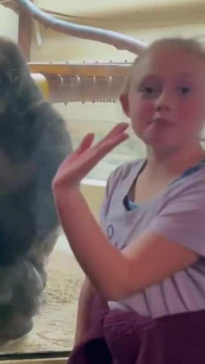 Bob is NOT in the mood today