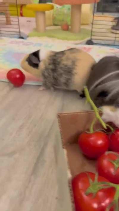 Can't wait for the goodies