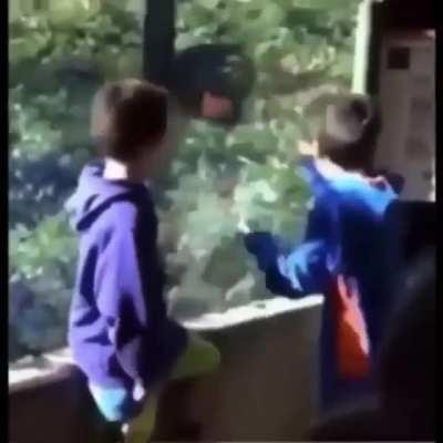 Is that really a pumpkin?