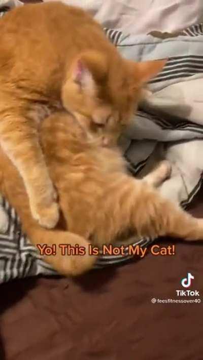 You don't live here son...