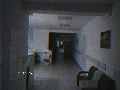 The best possible jumpscare to exist