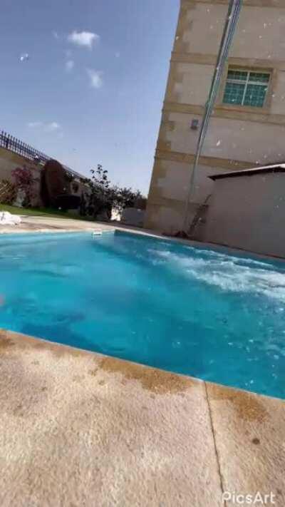 Finally a nice view of 🍑 without obstruction...