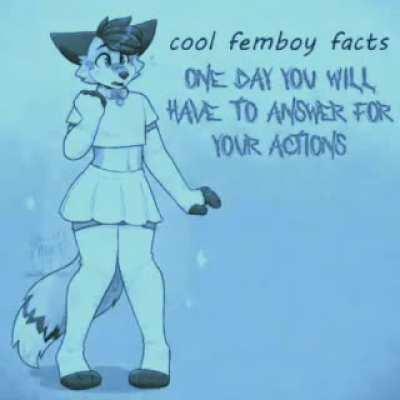 Cool Femboy Facts!