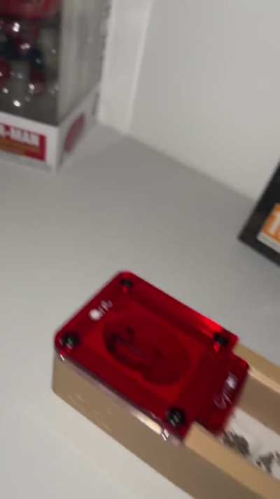 Why are some of my ants dying ?