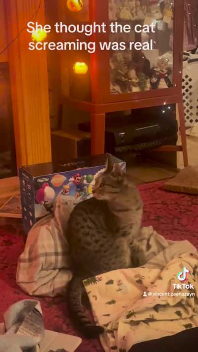 She thought the cat screaming was real