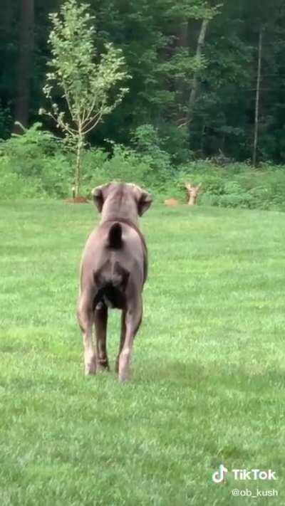 beginning of a beautiful friendship