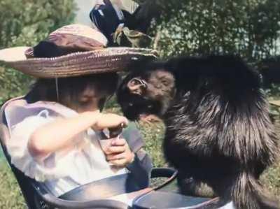Film of cat and a girl from 1899 (color adjusted)