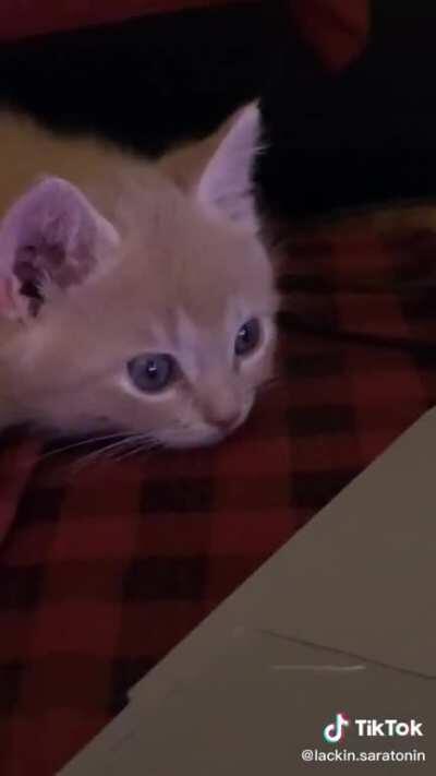 Gotta teach them young