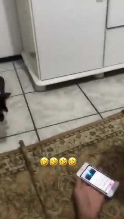 poggers ele entendeu