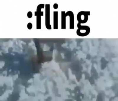:fling