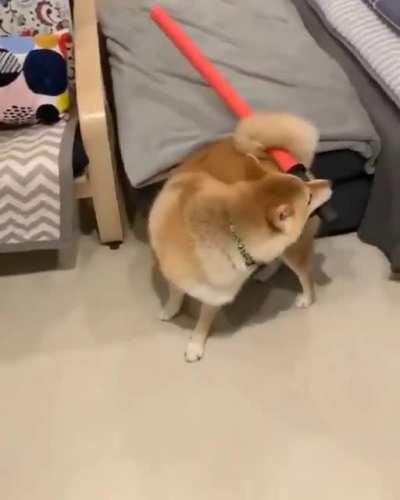 You mess with the doggo you get the stabbo