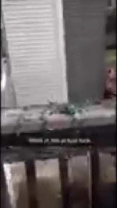 What do you guys think? I say needs more reposting.