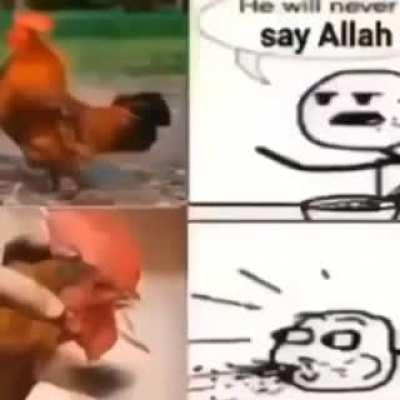 allah