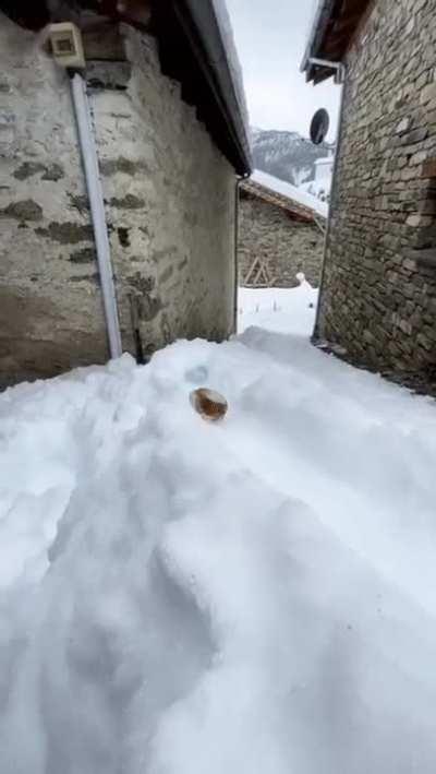 your delivery has arrived.