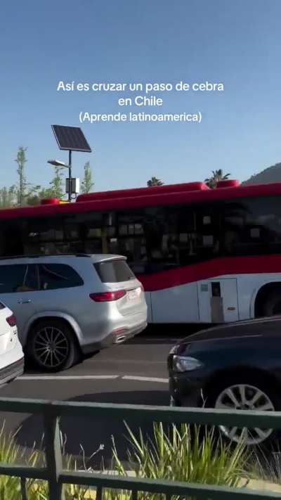 A las acciones buenas hay que copiarlas. Es increíble los limaditos que hay manejando en CABA, si te ven cruzando 5 metros antes vienen cagandote a bocinazos