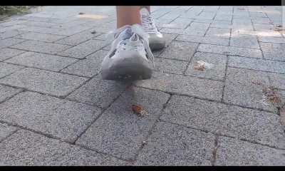 3 Girls crush roachs