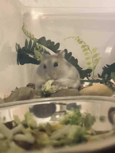 Broccoli love 🥦 ♥️