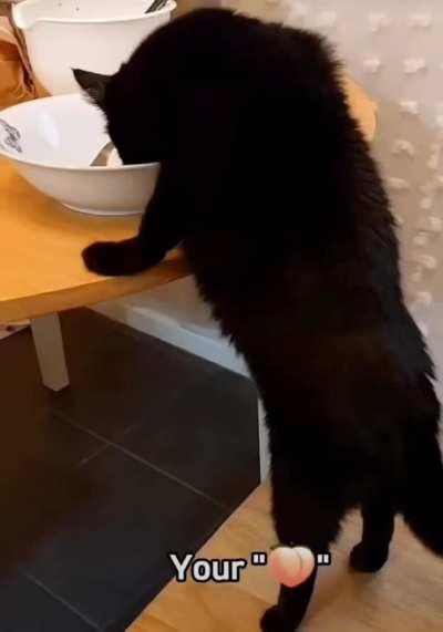 Incase nobody told you