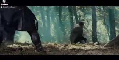 Centre court in middle earth