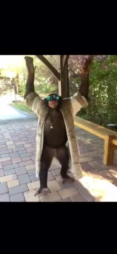 Rare footage of Chris celebrating a worms victory