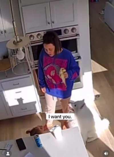 Little girl’s reaction to finding out that her mom is adopted.