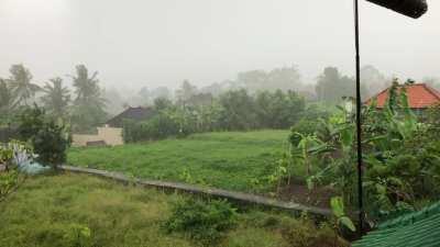 Advancing rain. Bali, Ubud (OC)