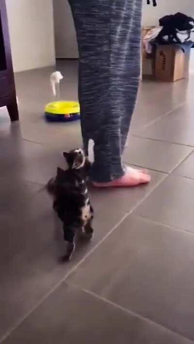 Não me deixe, não se vá, não me abandone...