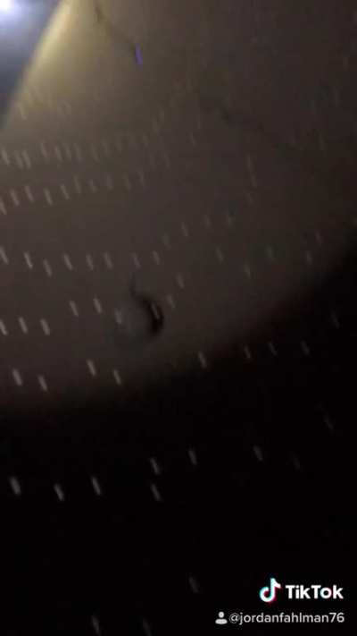 META: what is happening