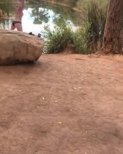 Could this have got any worse?