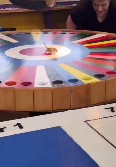 I found a new way to lose all my money