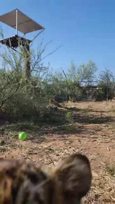 It's time for breakfast