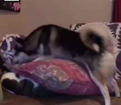 Just wanted to take a nap