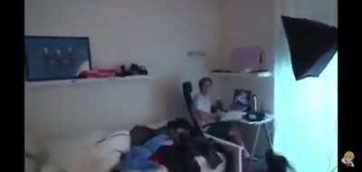 Infelizmente Ronaldo n destrói furrys e sim ama eles