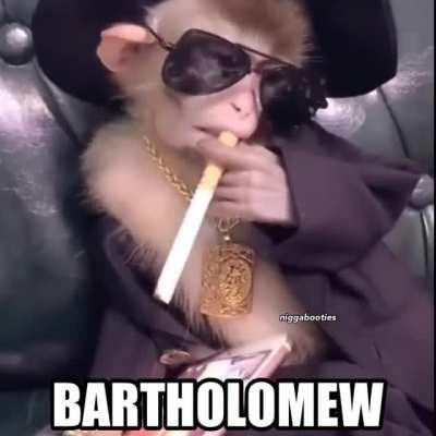 bartholomew