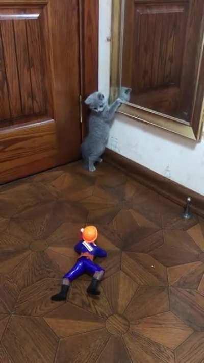 Always fear the guy that shows no fear and walks slowly but is seemingly right behind you