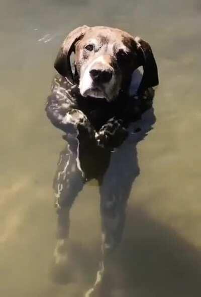 Nice day at the lake