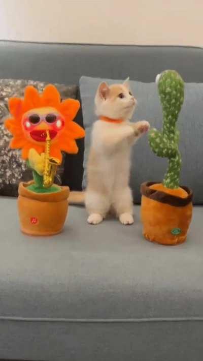 When you sneak your friends into the house after your parents went to sleep and they won't keep quiet