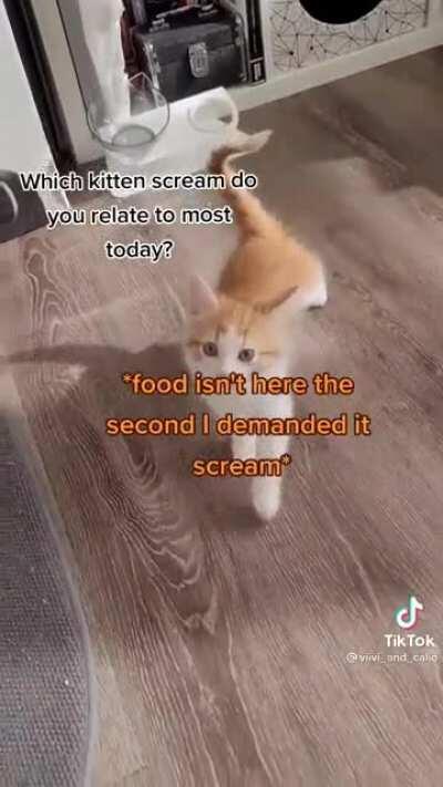 Which kitten scream do you relate to most today?