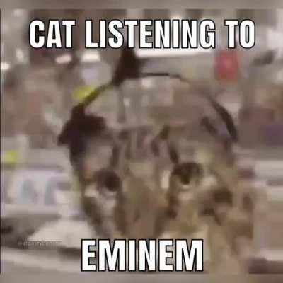 Walter white rap😱😂🔥🔥😱