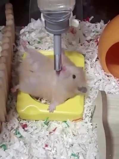 Wunk living lavish life