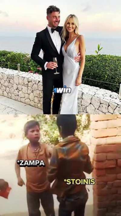 Zampa angry on Stoinis BABY 