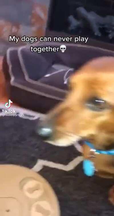 I’m still in shock