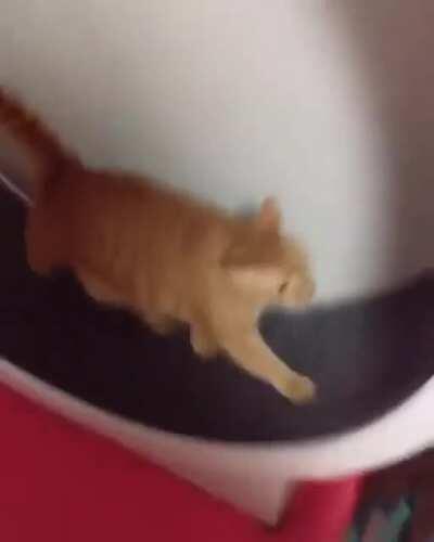 My kind of workout during quarantine phase 😂. Credit to @MickyKardashian.