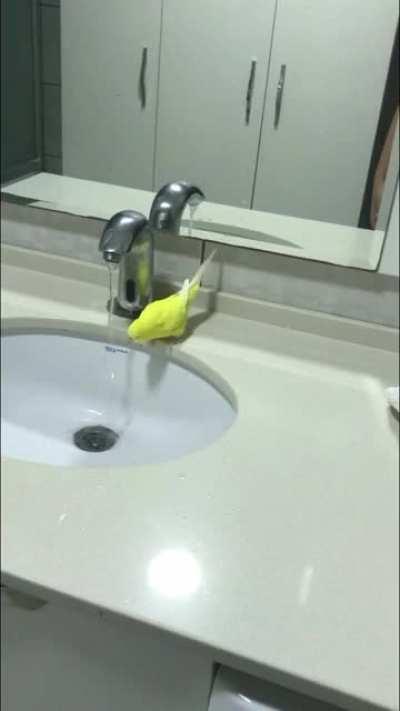 Bende diyorum su faturası neden yüksek geliyo