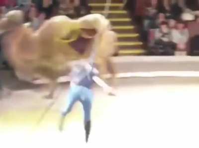 HMC while I entertain the crowd.